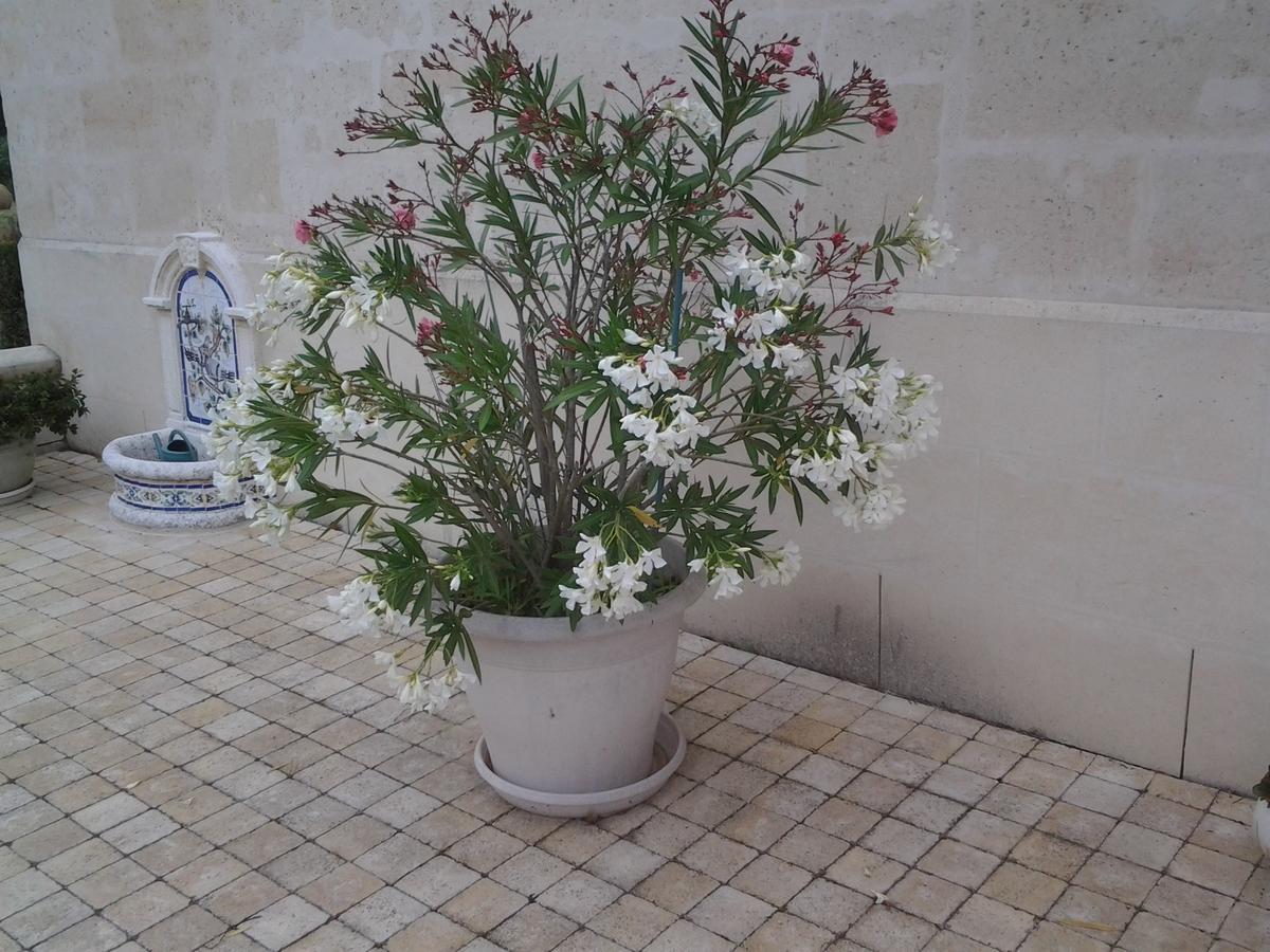 Le Moulin Bed & Breakfast Pontoise-les-Noyon Bagian luar foto