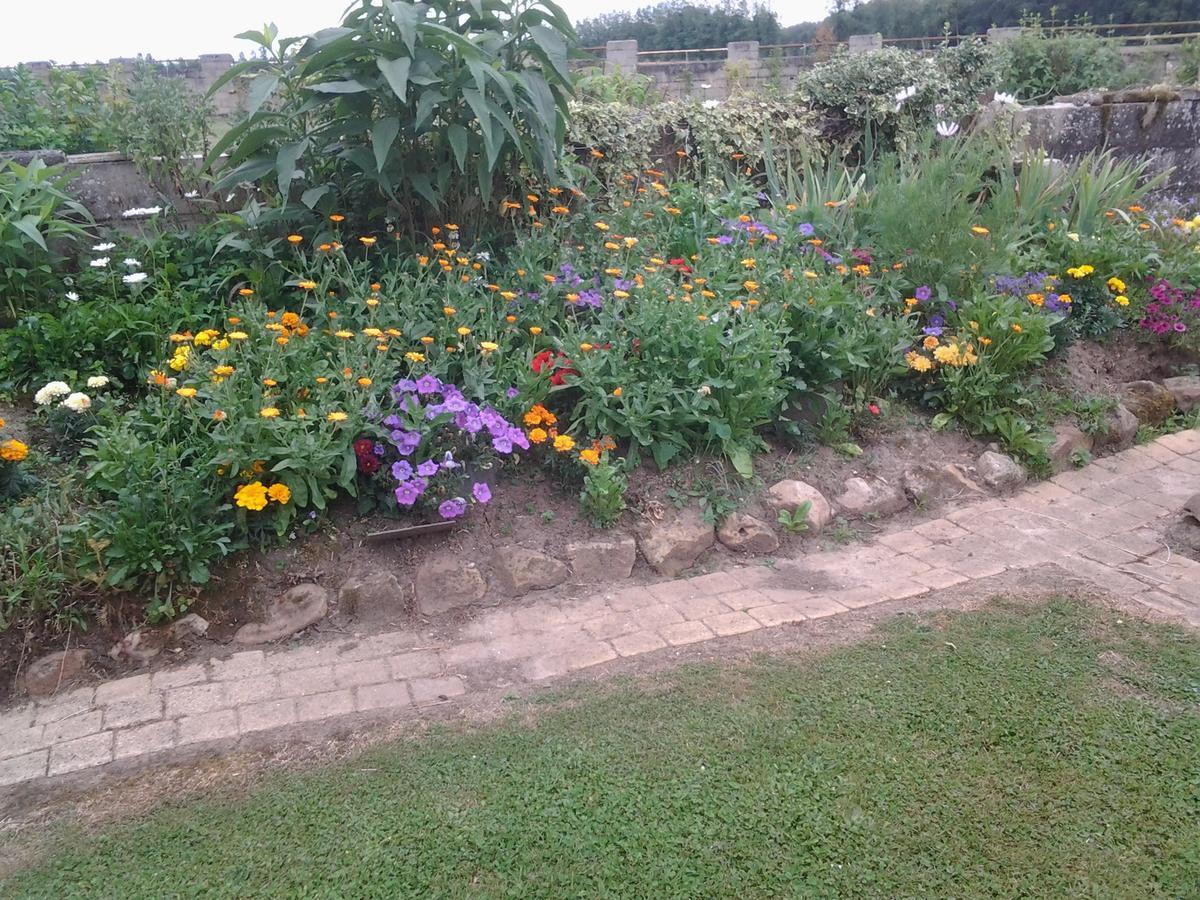 Le Moulin Bed & Breakfast Pontoise-les-Noyon Bagian luar foto